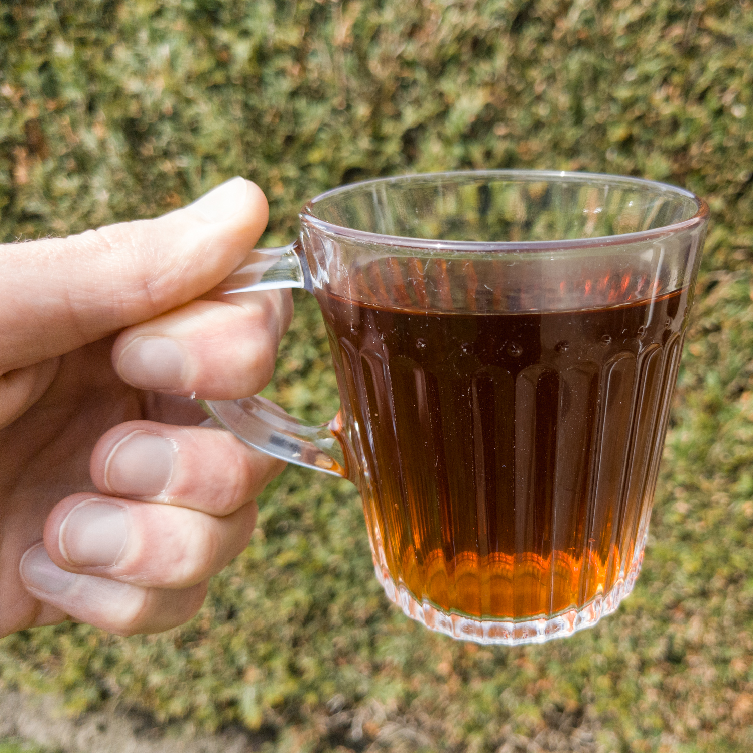 A person holding a cup of tea